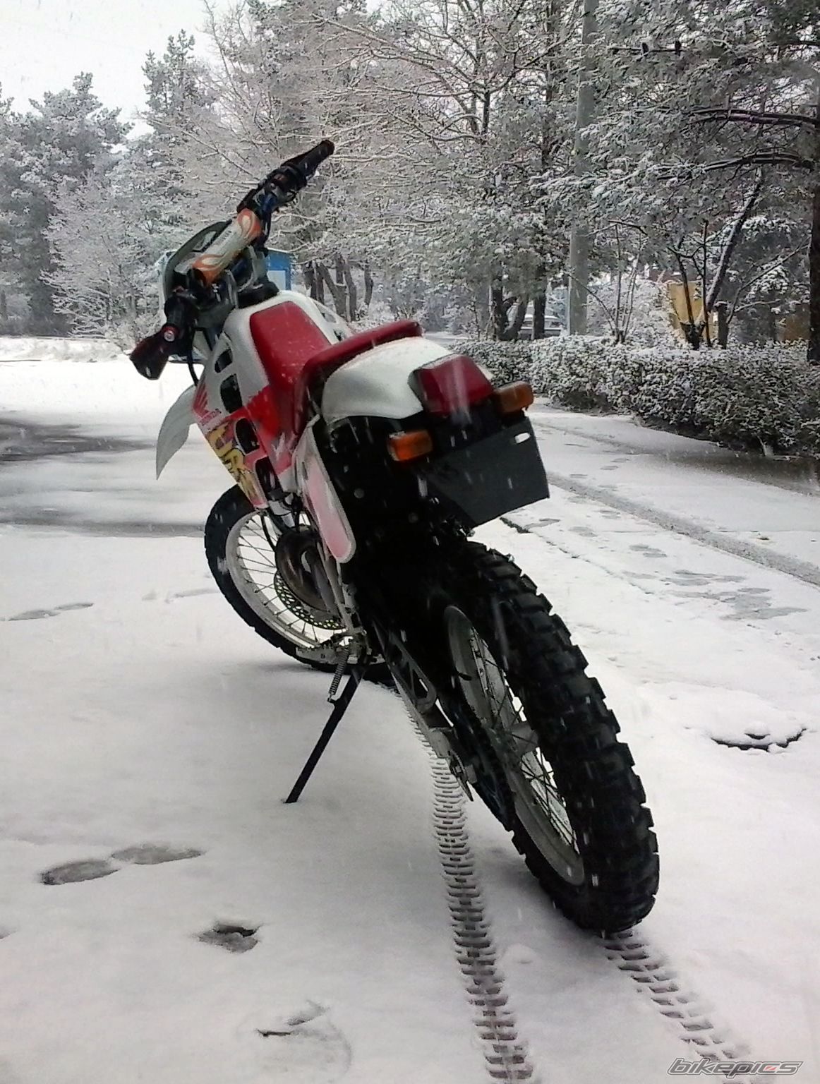 Photo 2630998