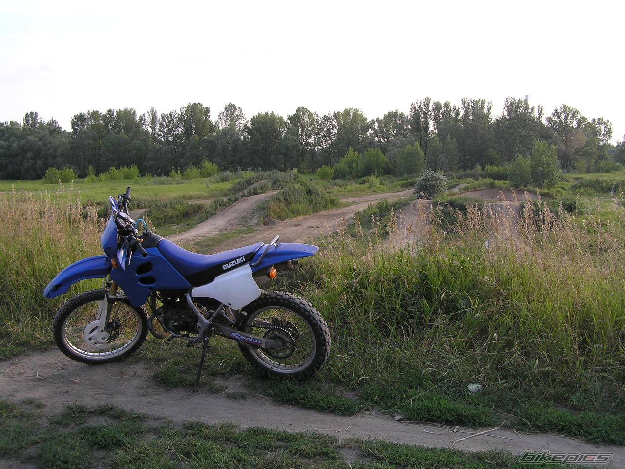 Photo 263109