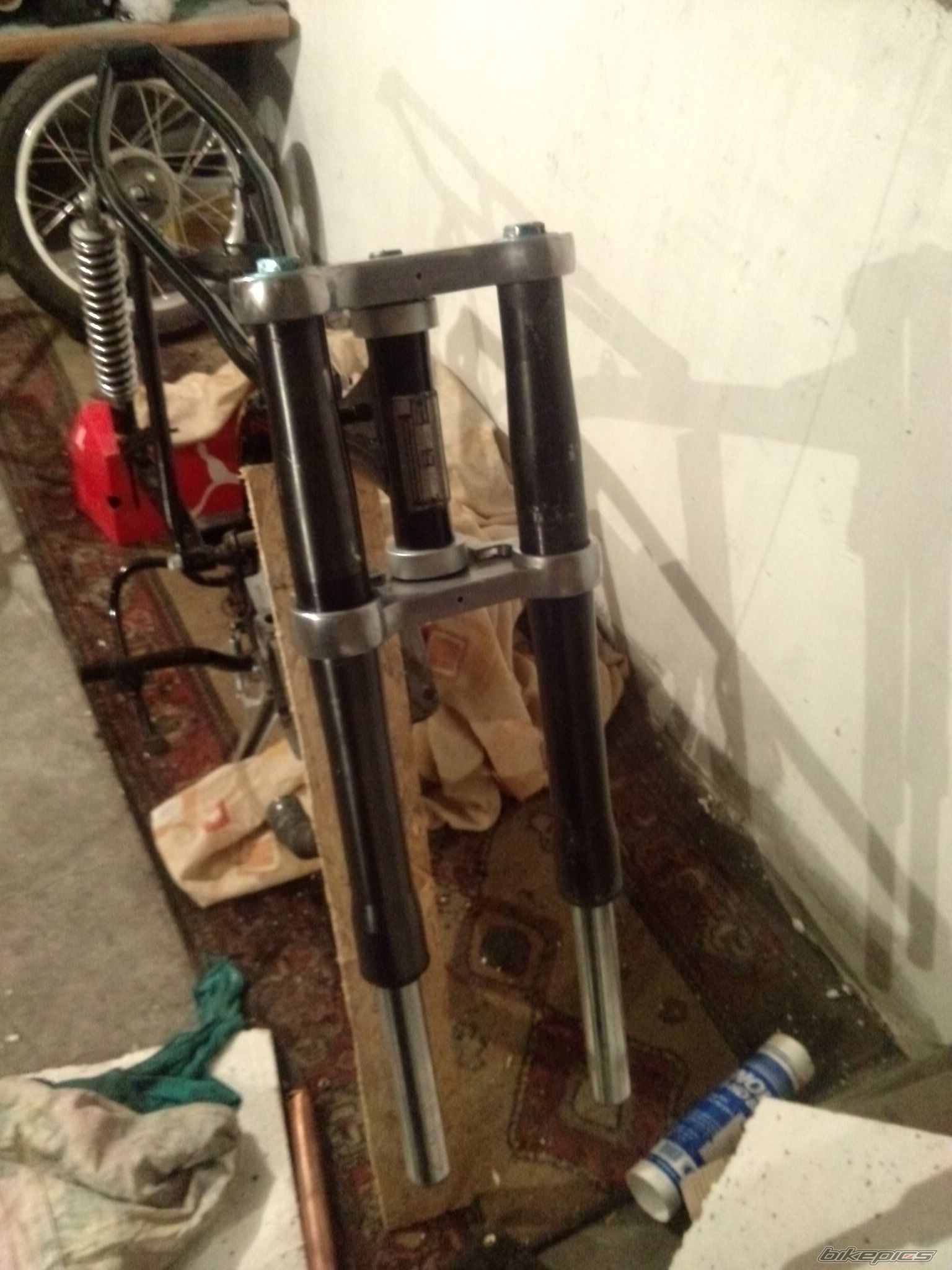 Photo 2631116