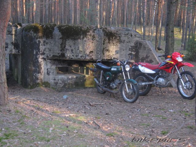 Photo 2631256