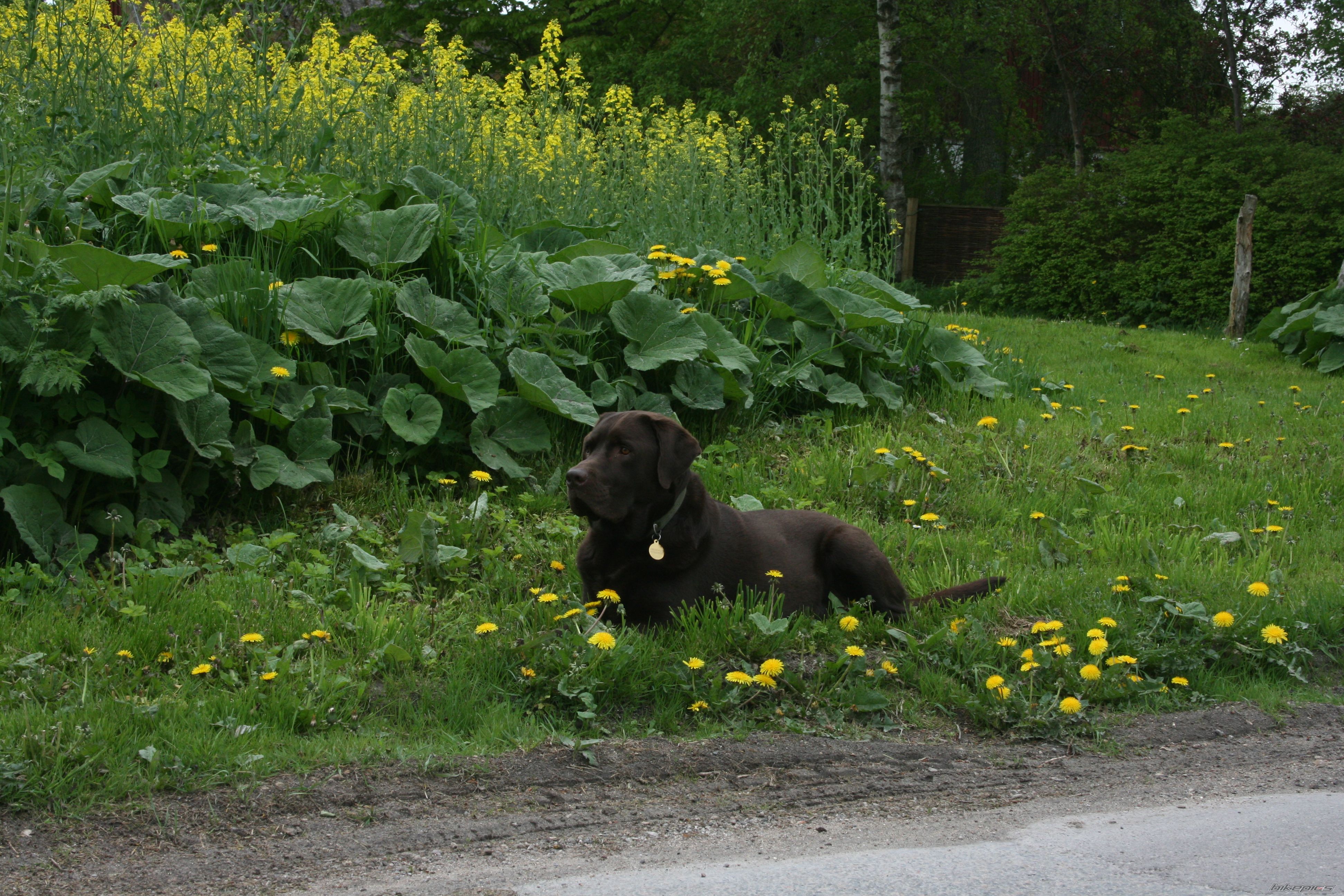 Photo 2631383