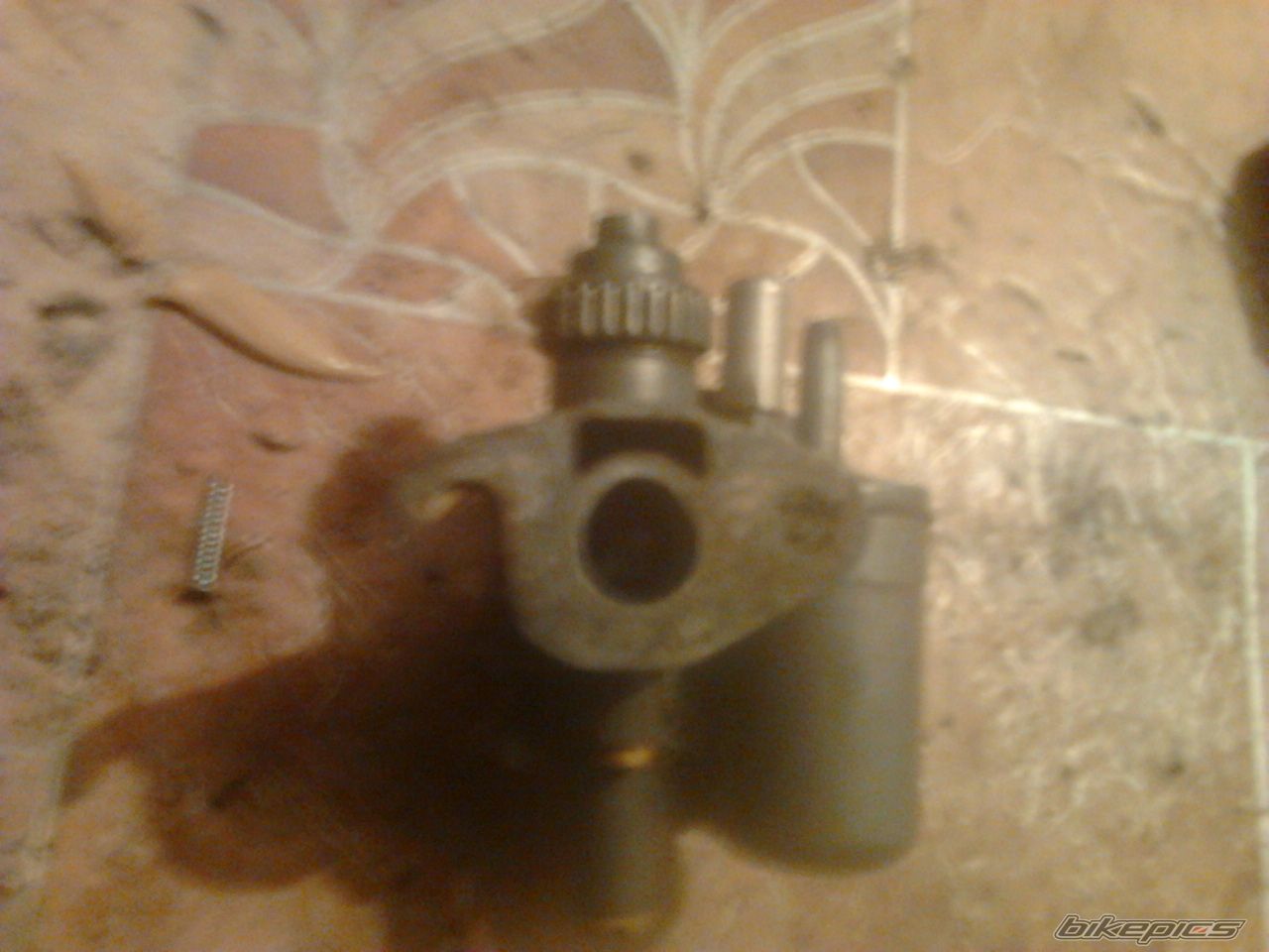 Photo 2631398
