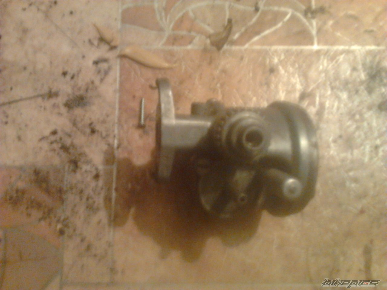 Photo 2631400