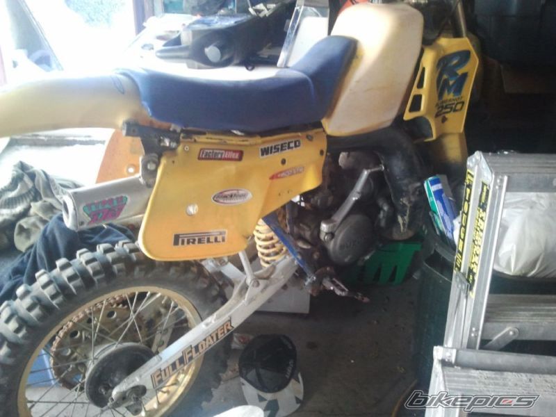 Photo 2631454
