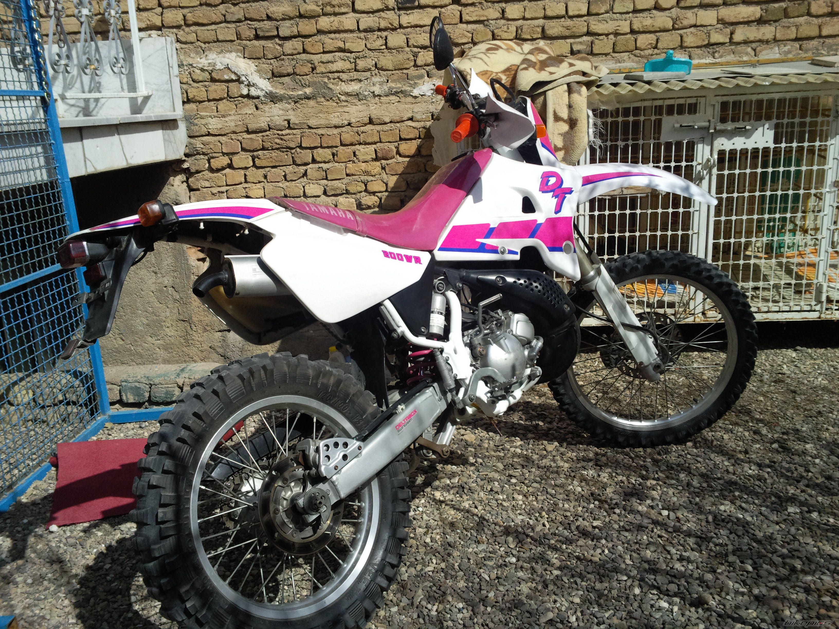 Photo 2631528