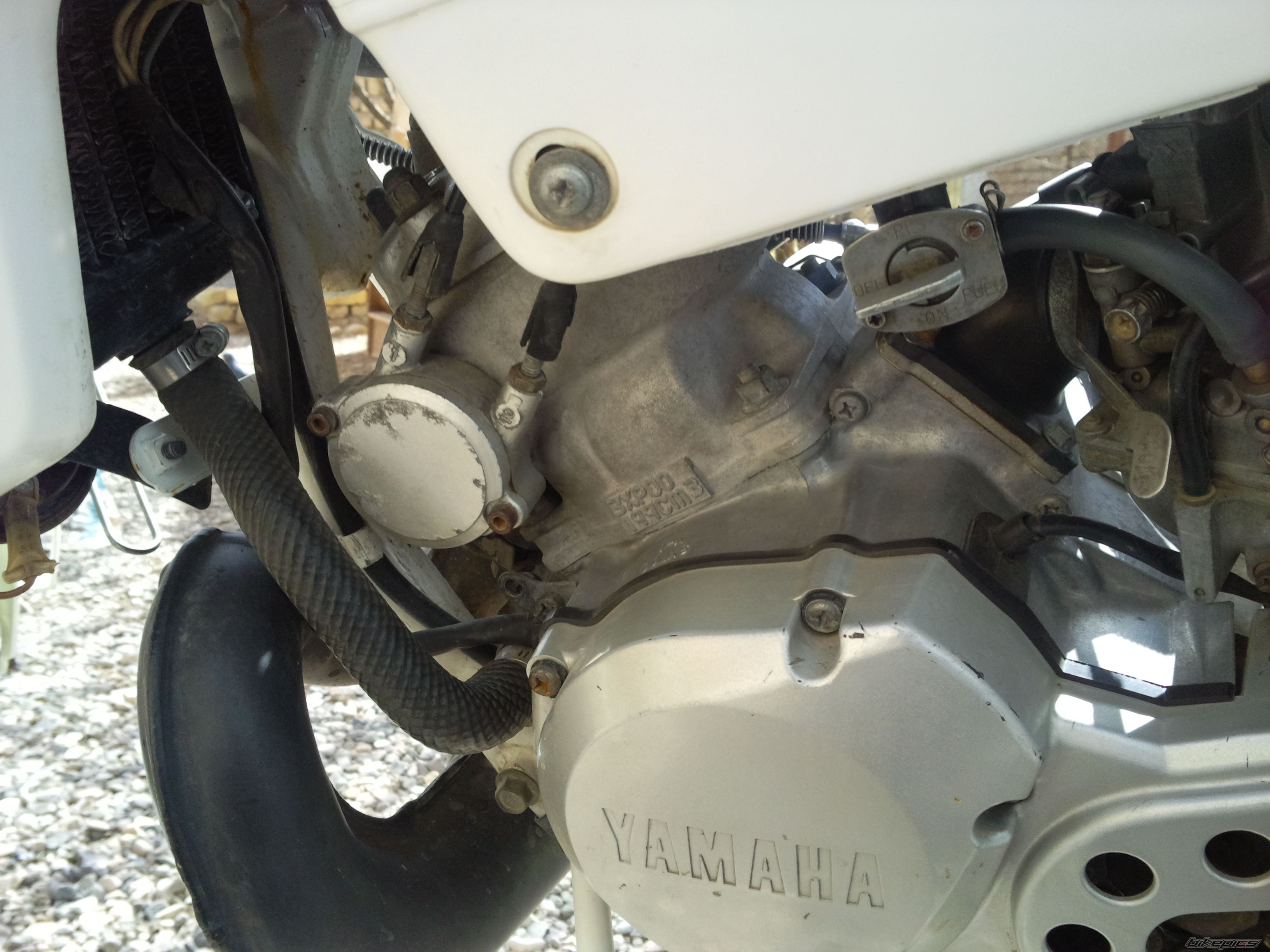 Photo 2631530