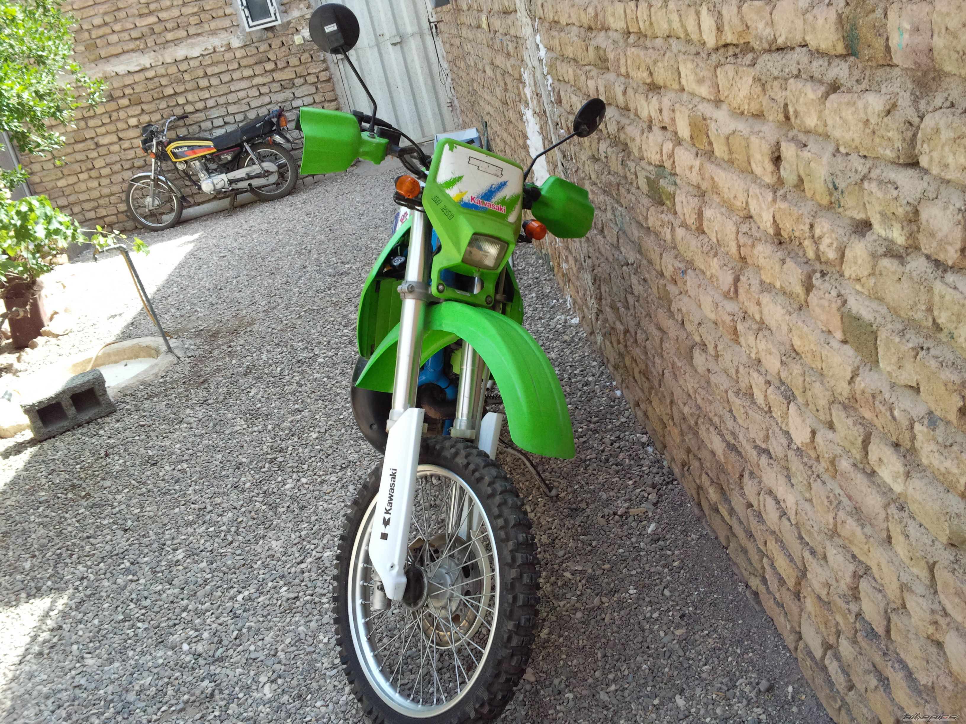 Photo 2631541