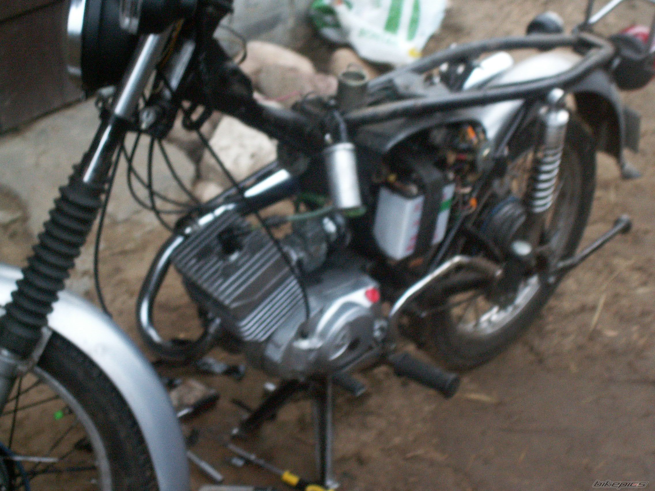 Photo 2631549