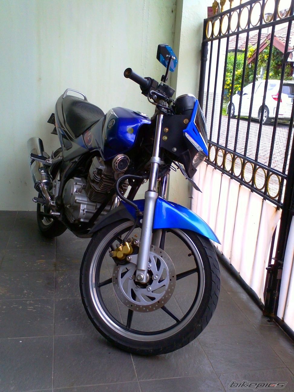 Photo 2631585