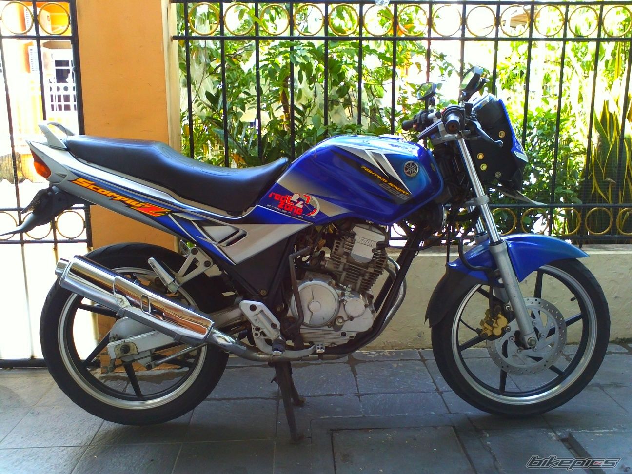 Photo 2631589