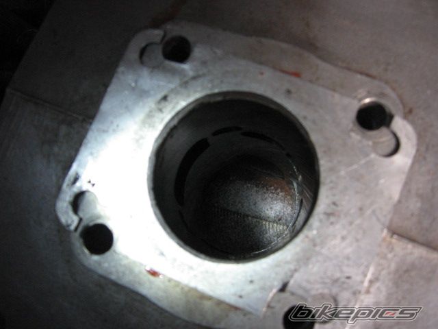 Photo 2631600