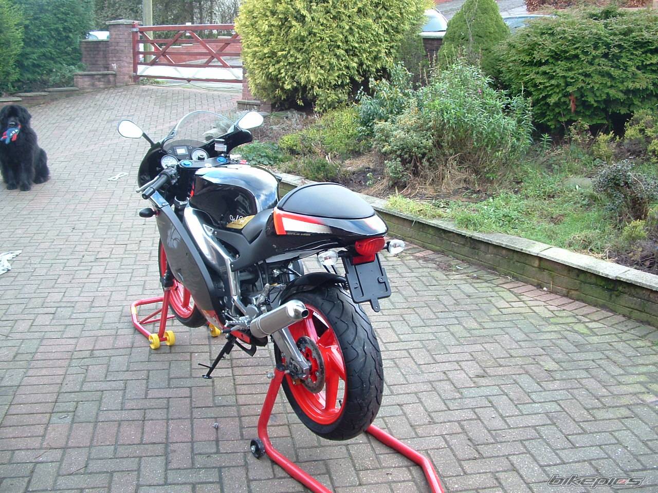 Bike Photo 263172