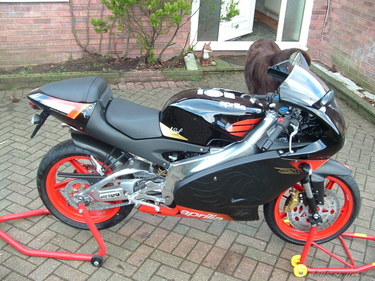 Bike Photo 263174