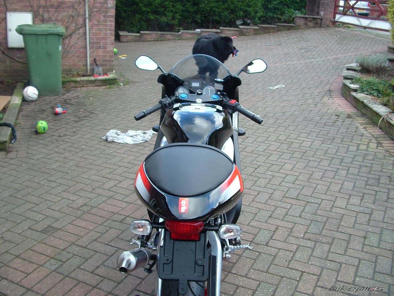 Bike Photo 263180