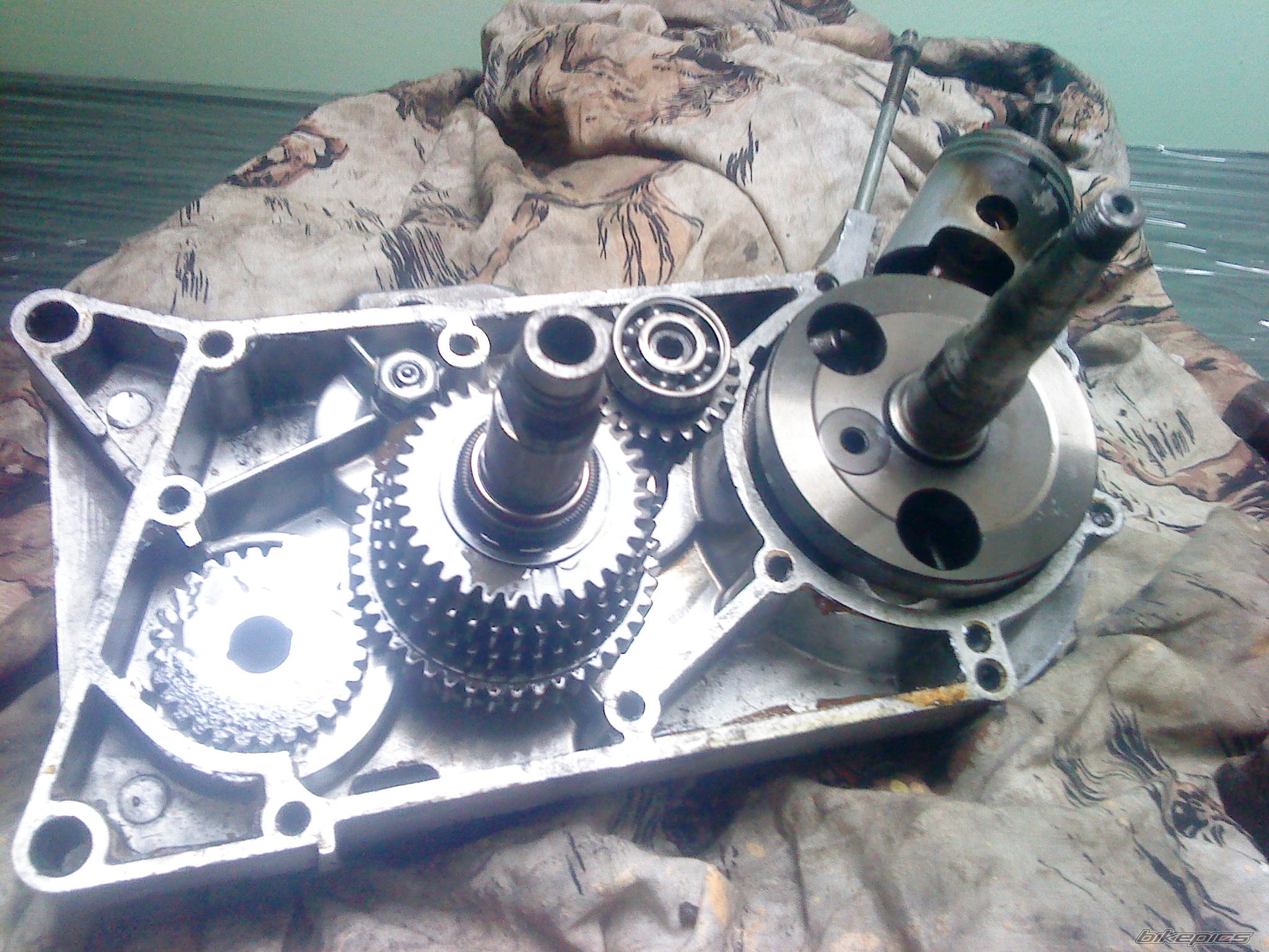 Photo 2632282