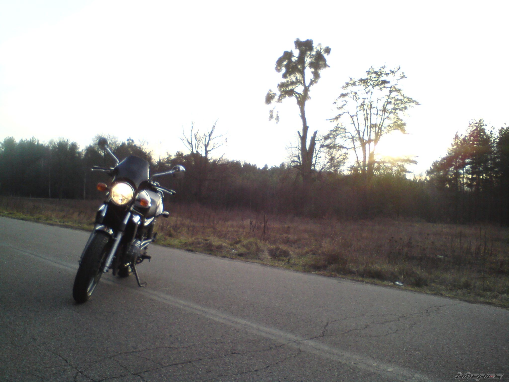Photo 2632290