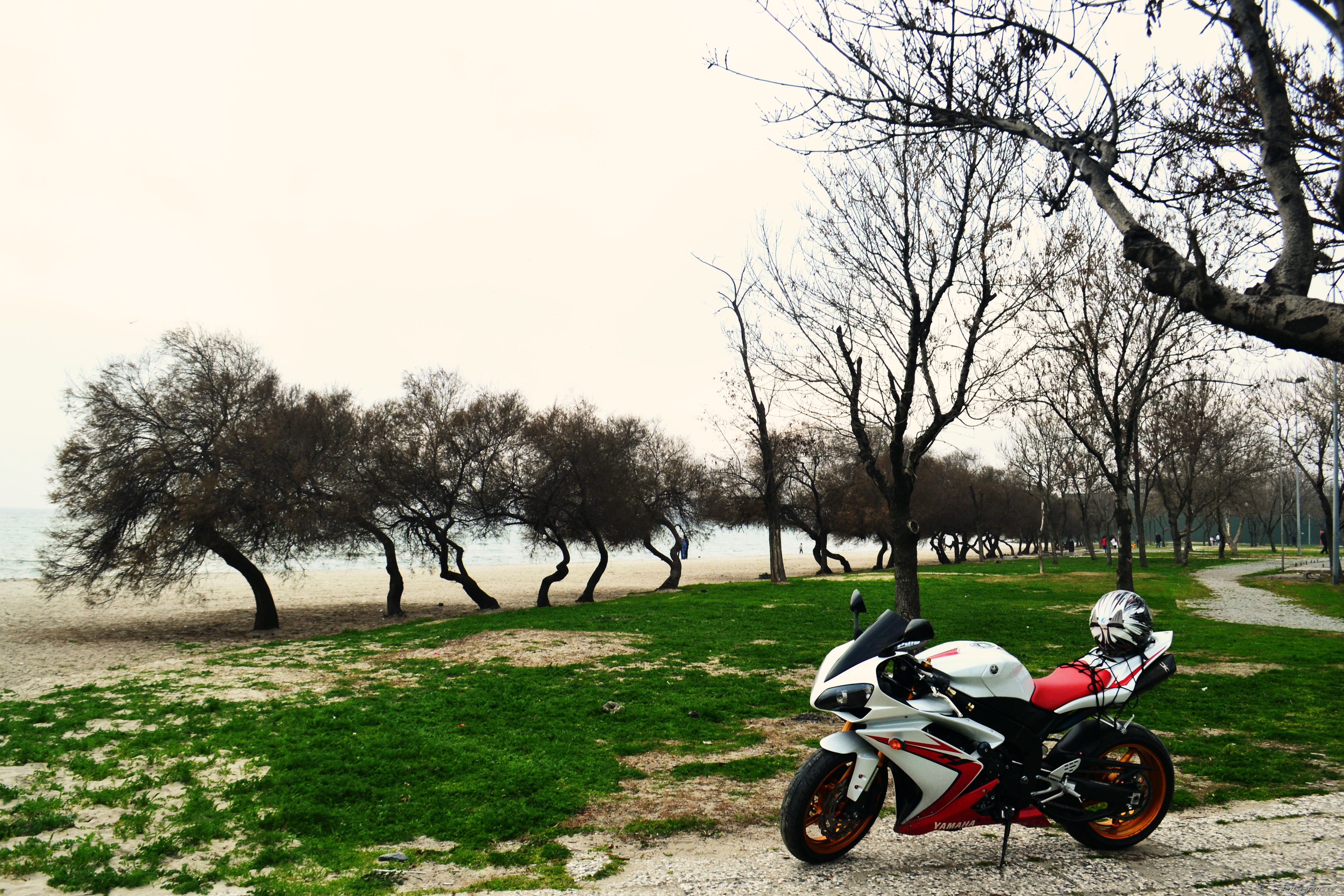 Photo 2632373