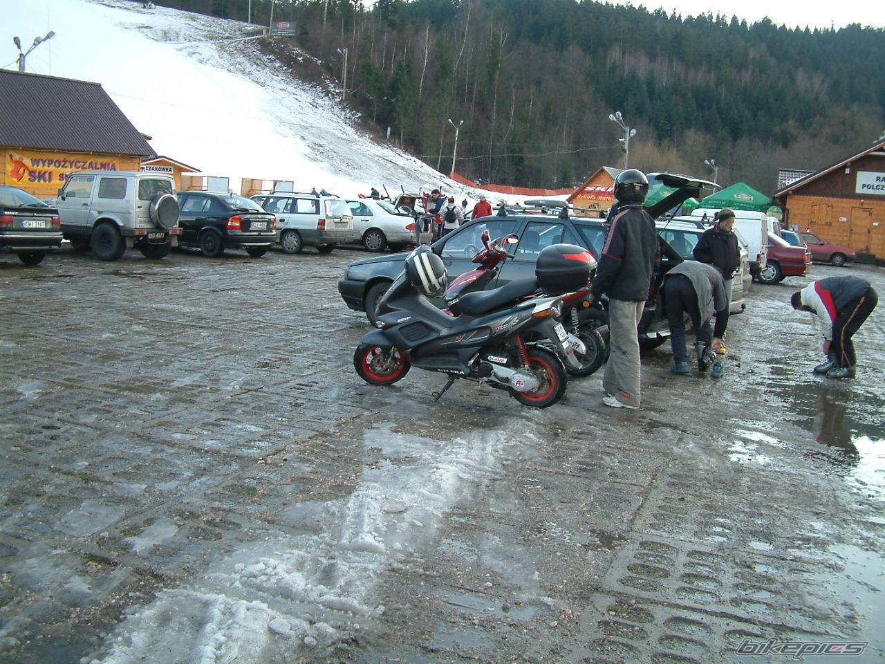 Photo 263251