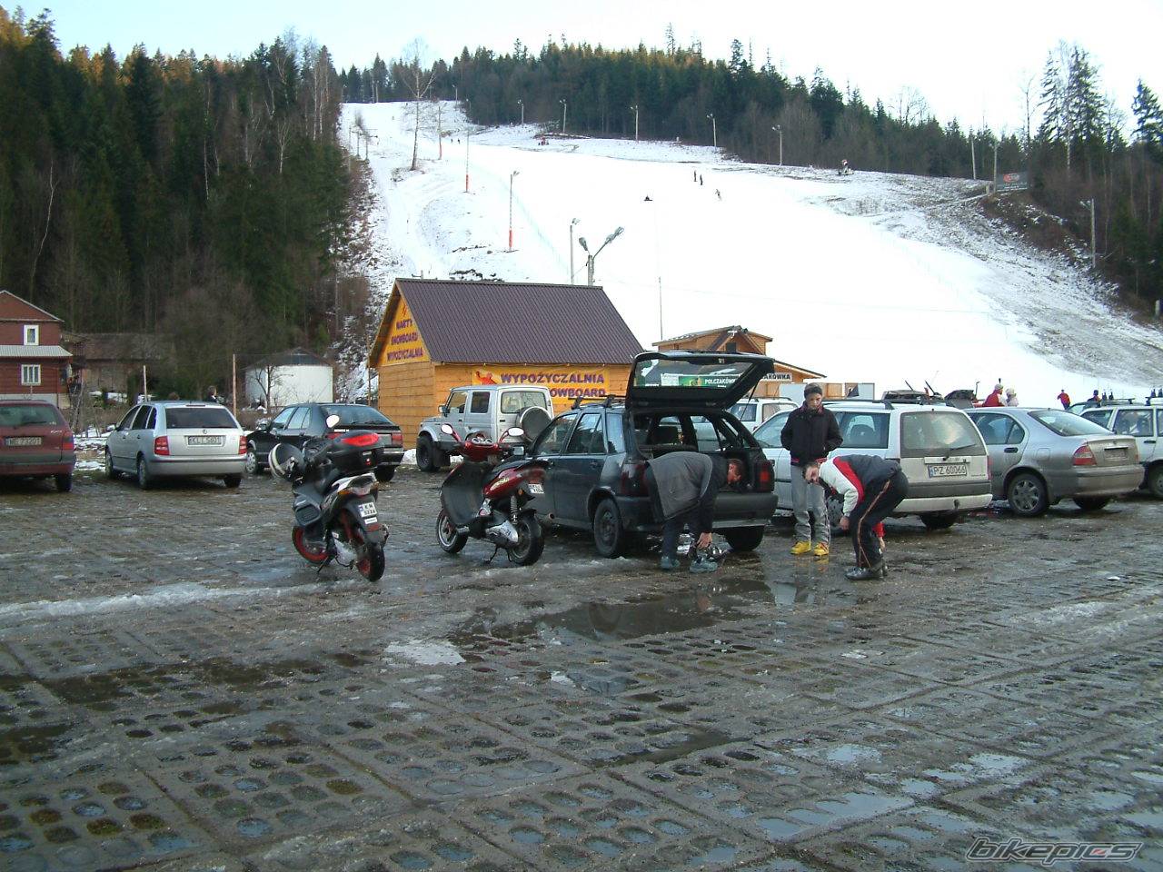 Photo 263252