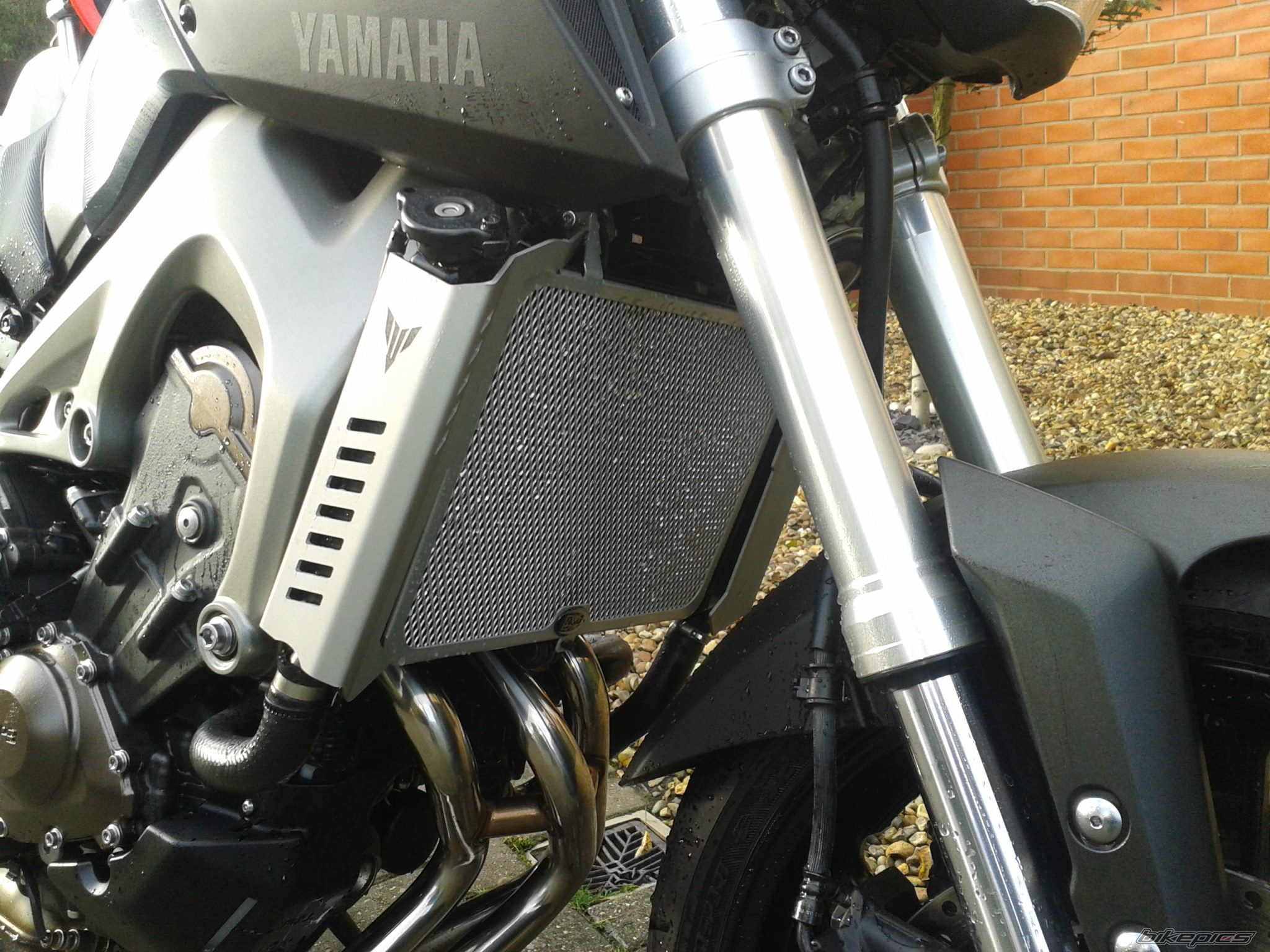 Photo 2632552