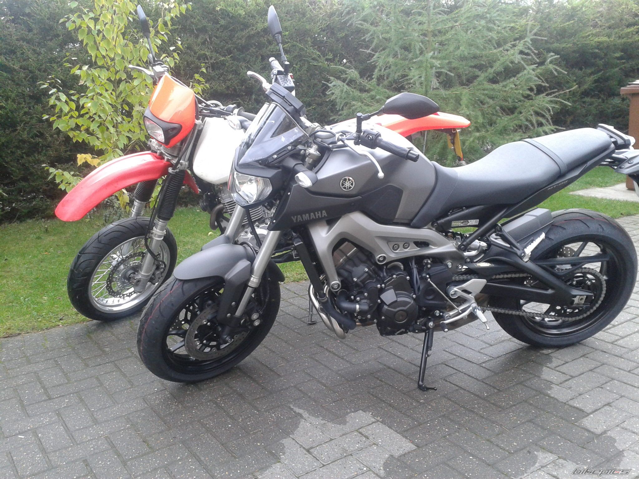 Photo 2632578