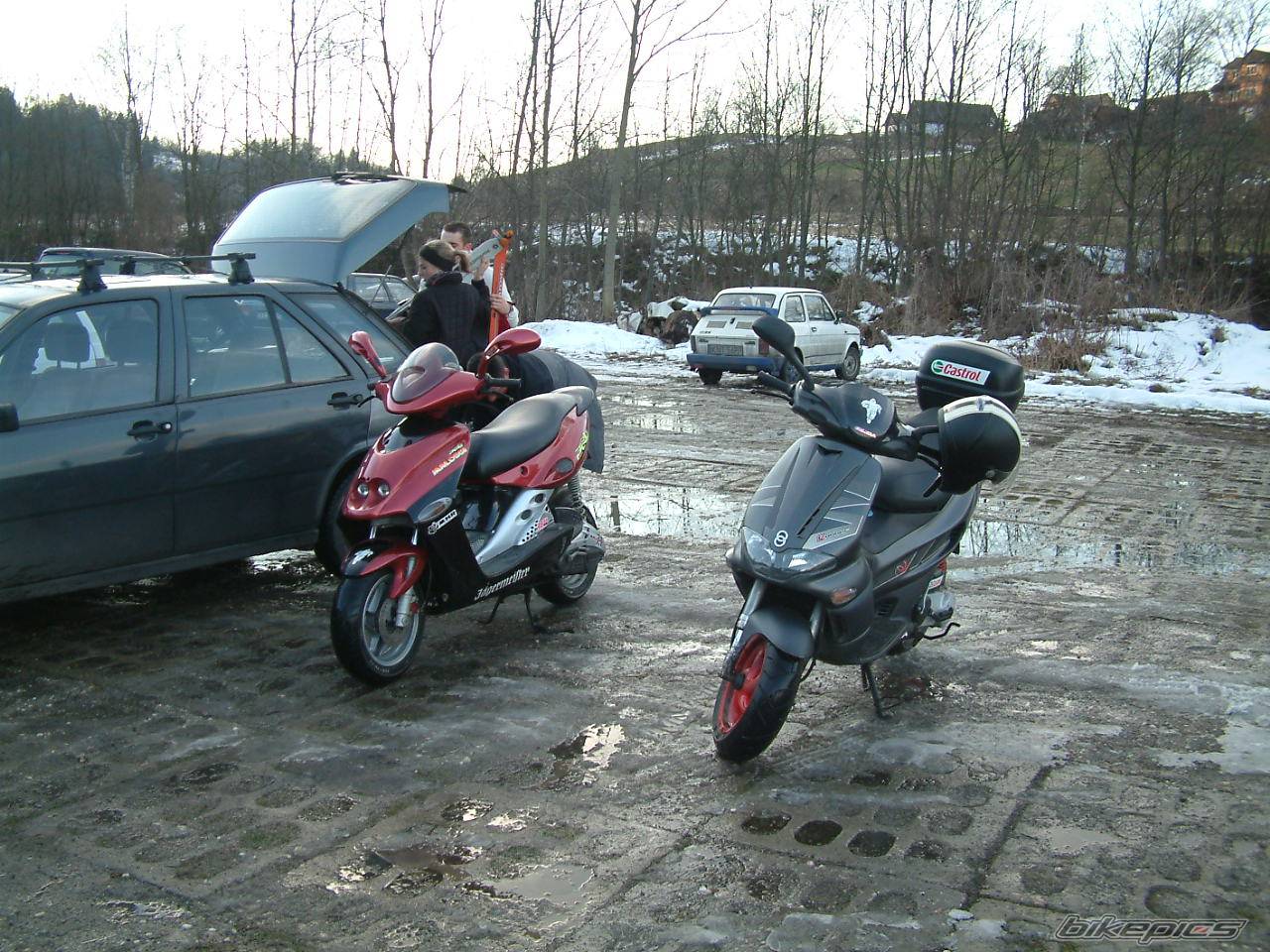 Photo 263258
