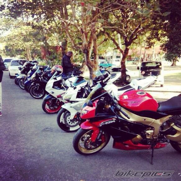 Photo 2632733