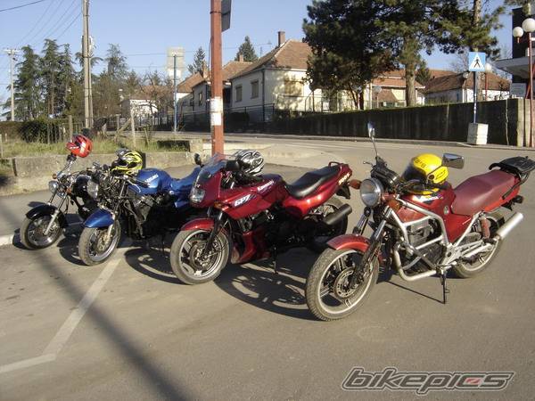 Photo 263282