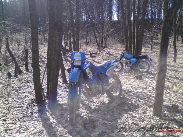 Photo 2632987