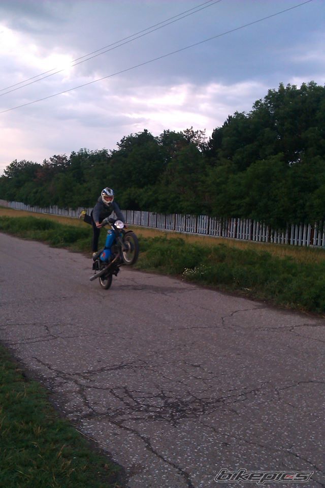 Photo 2632994