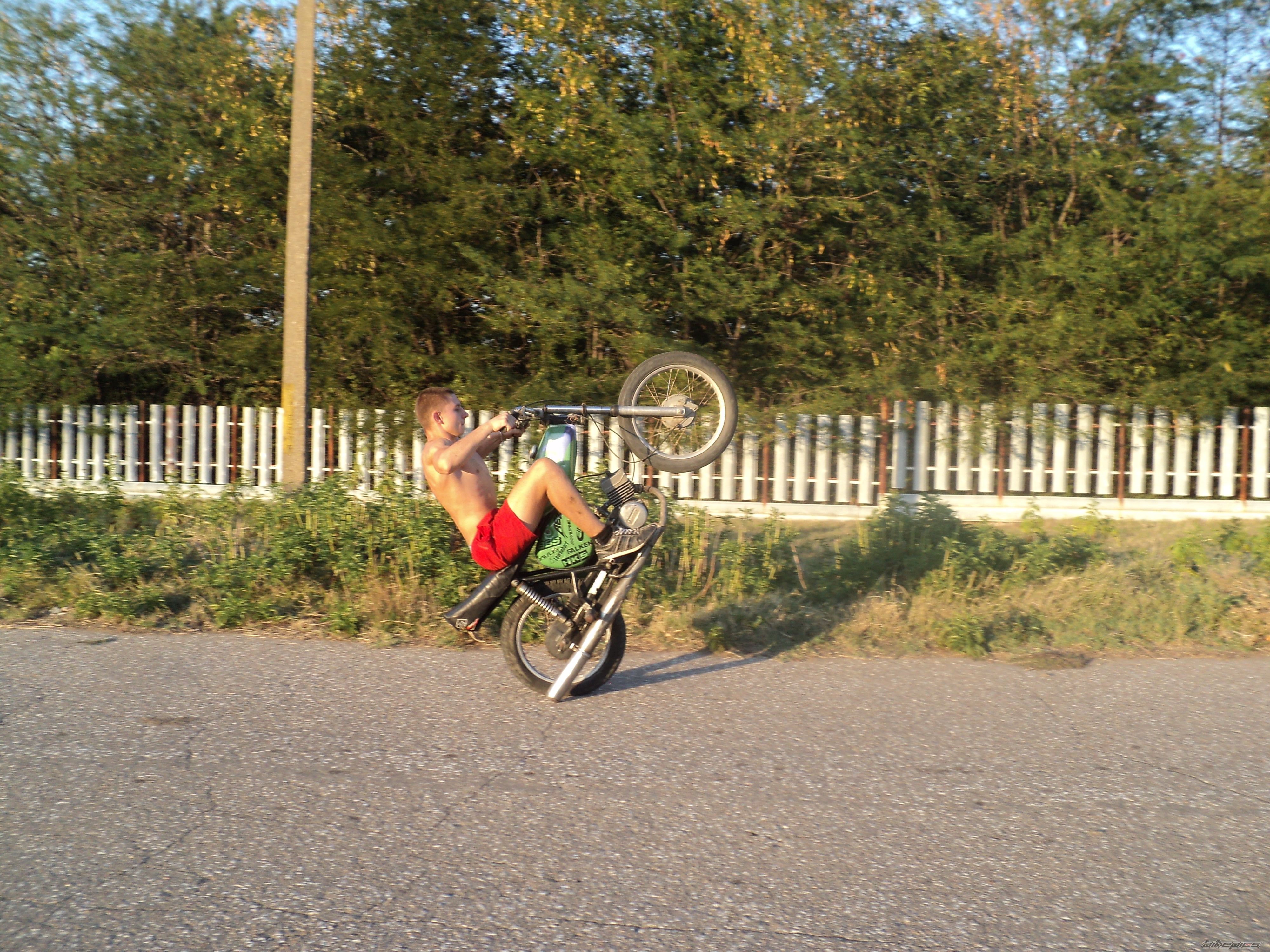 Photo 2633003