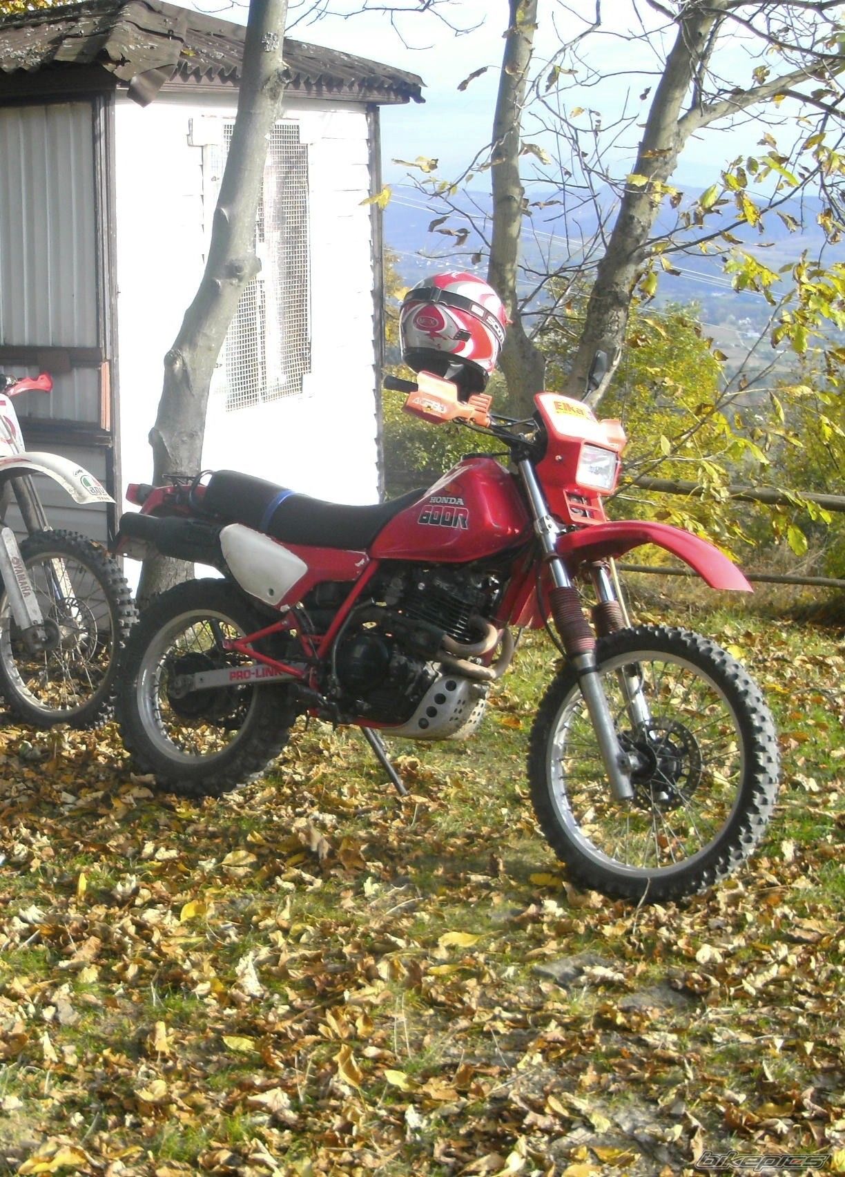 Photo 2633018
