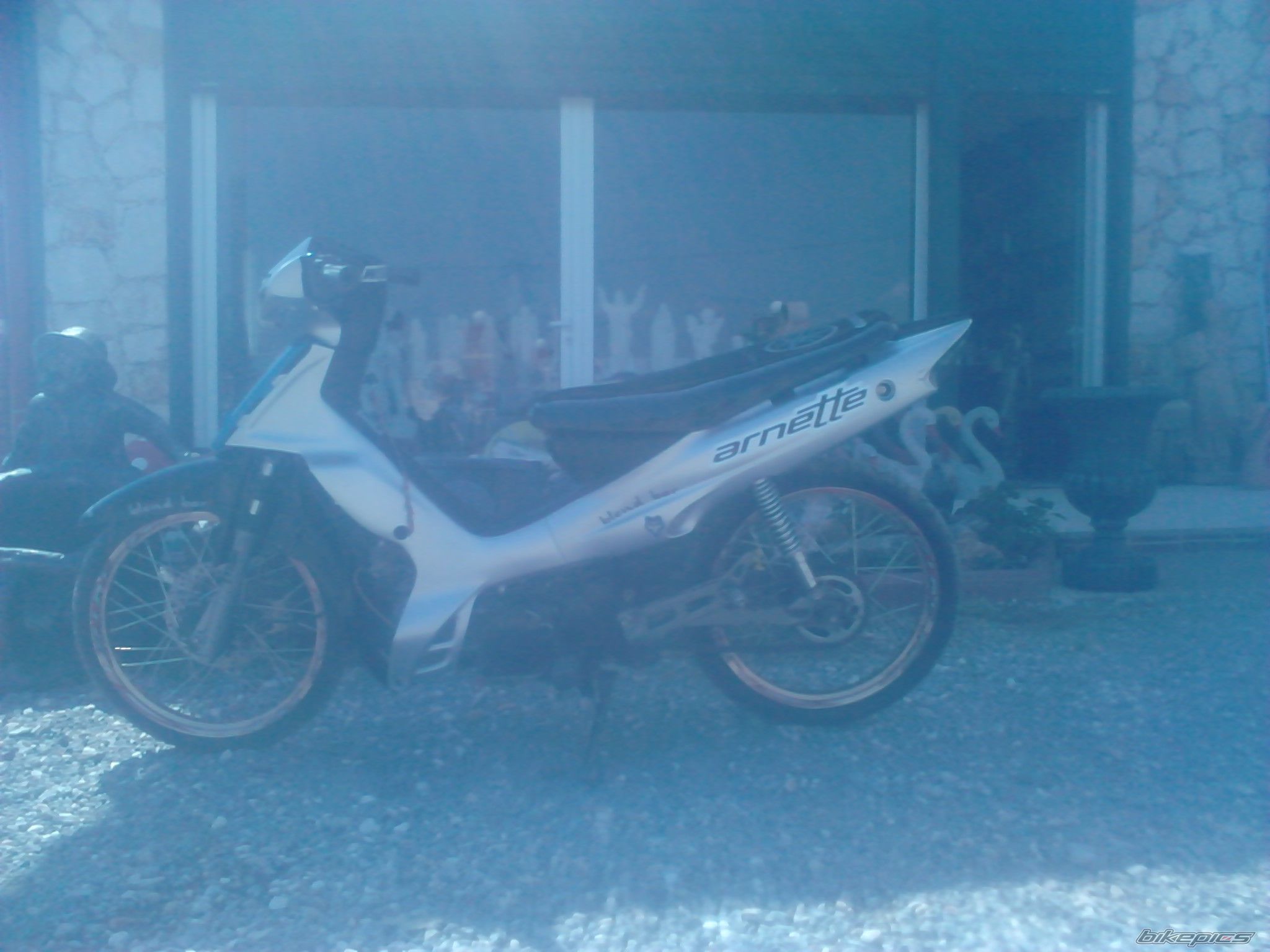 Photo 2633049