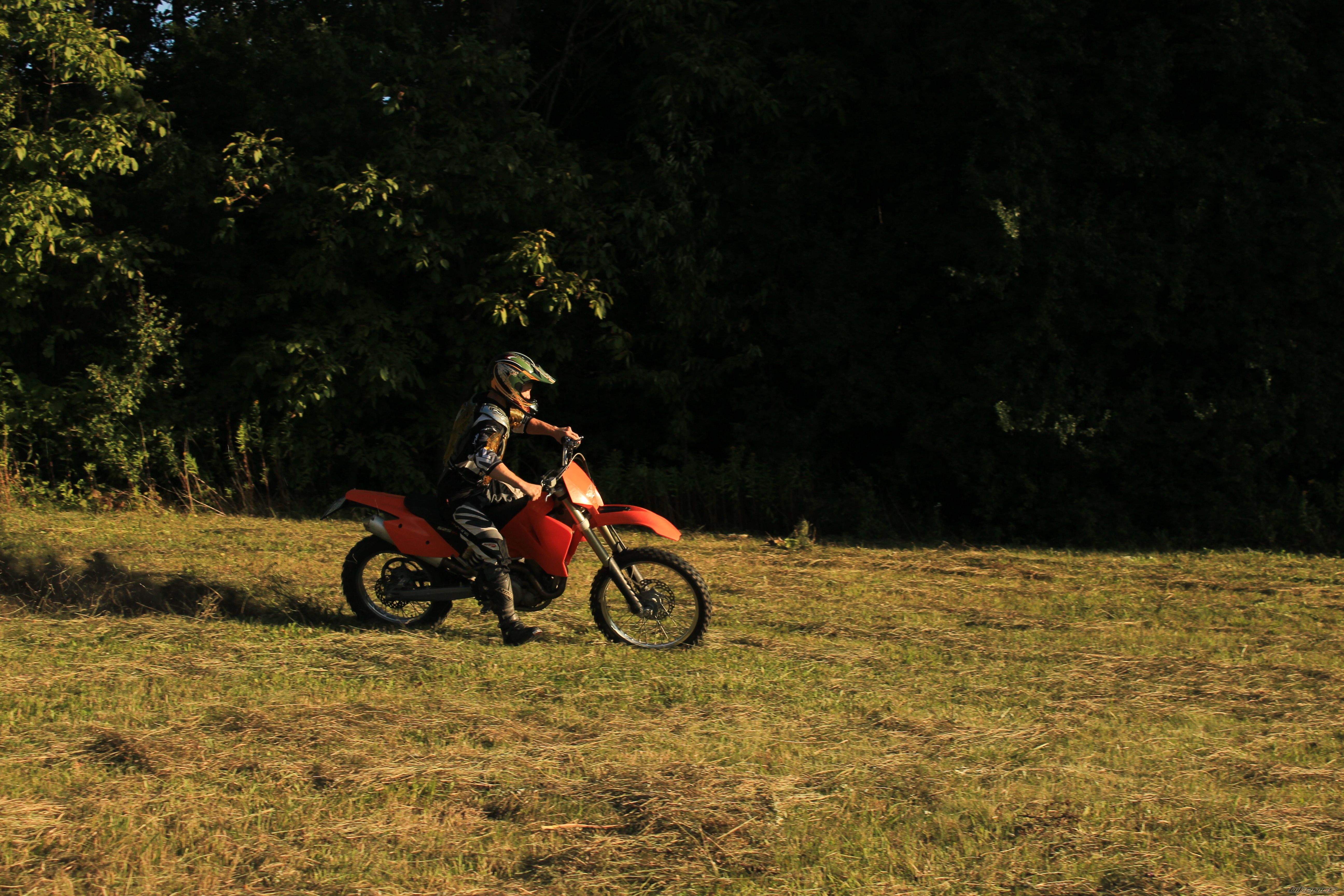 Photo 2633134