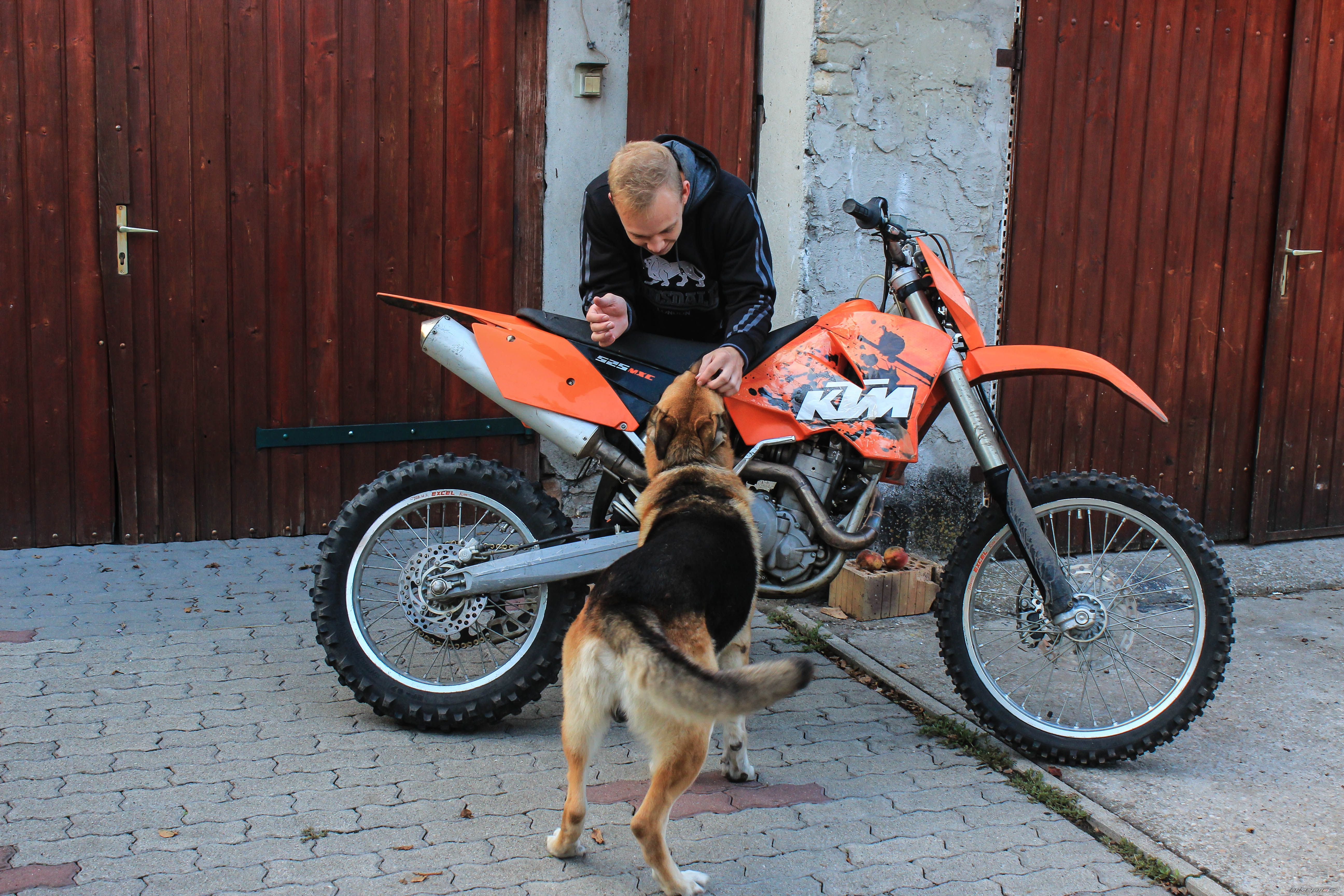 Photo 2633149
