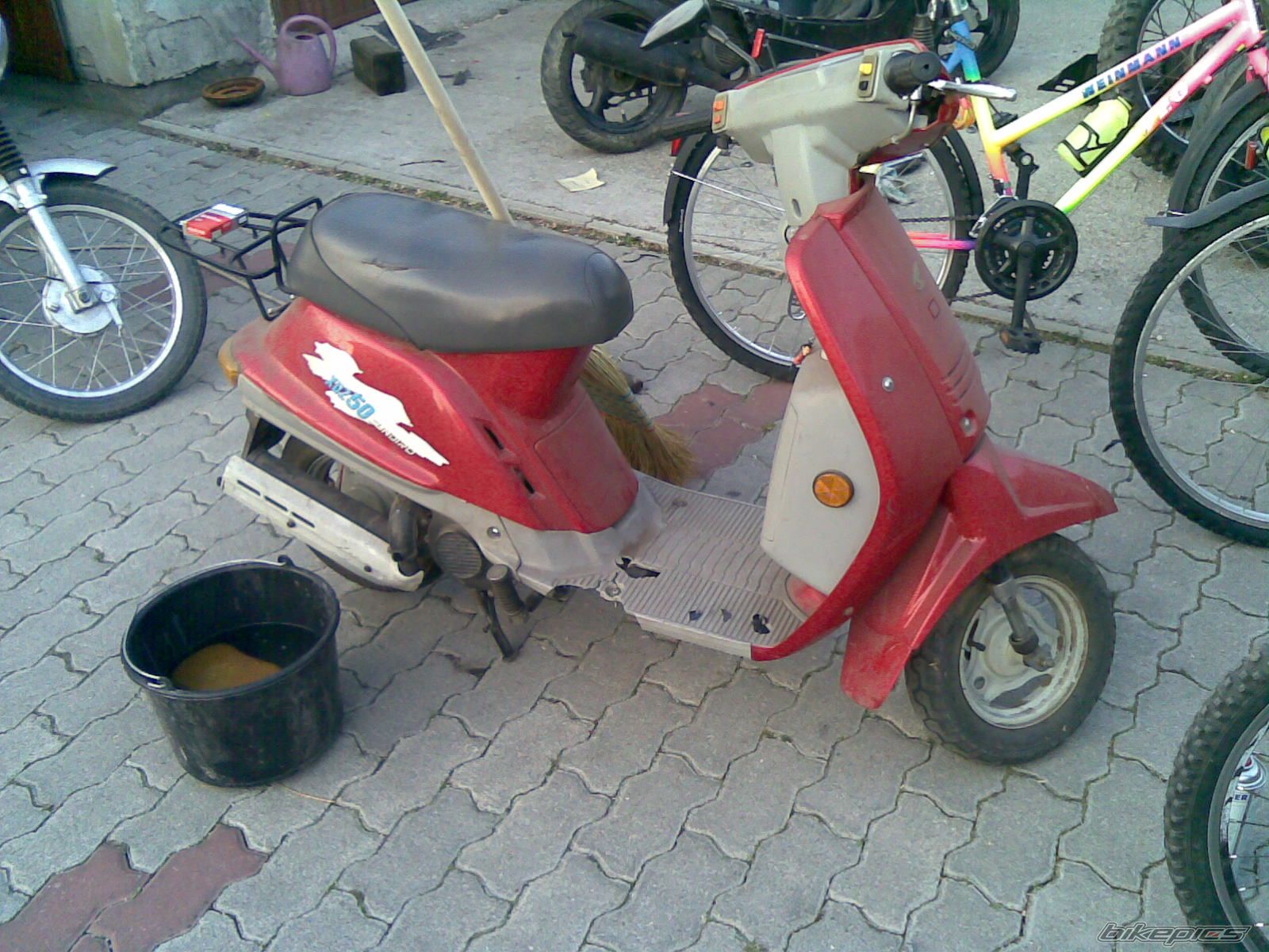 Mint 50