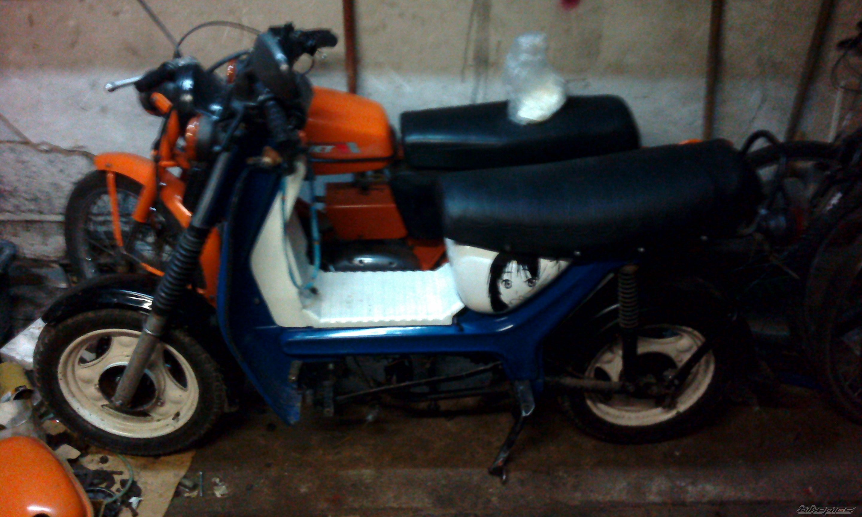 Photo 2633219