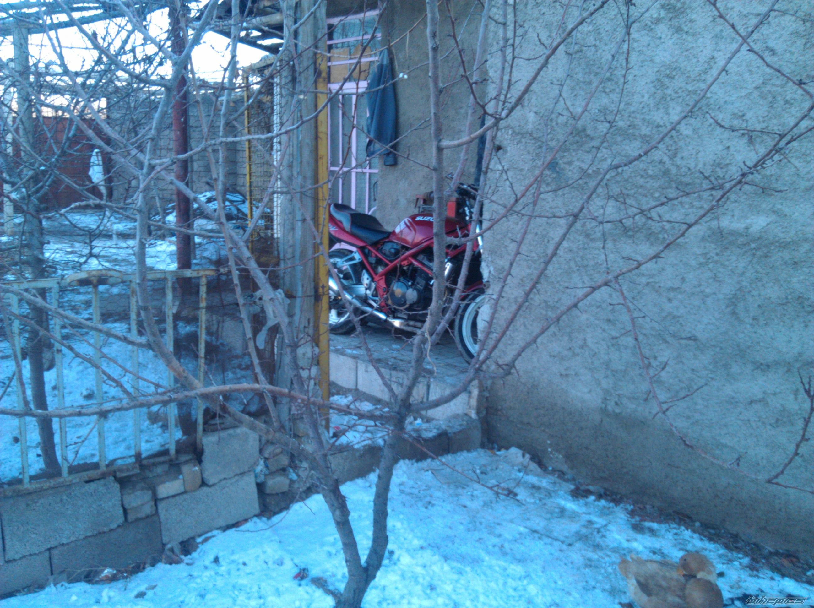 Photo 2633386