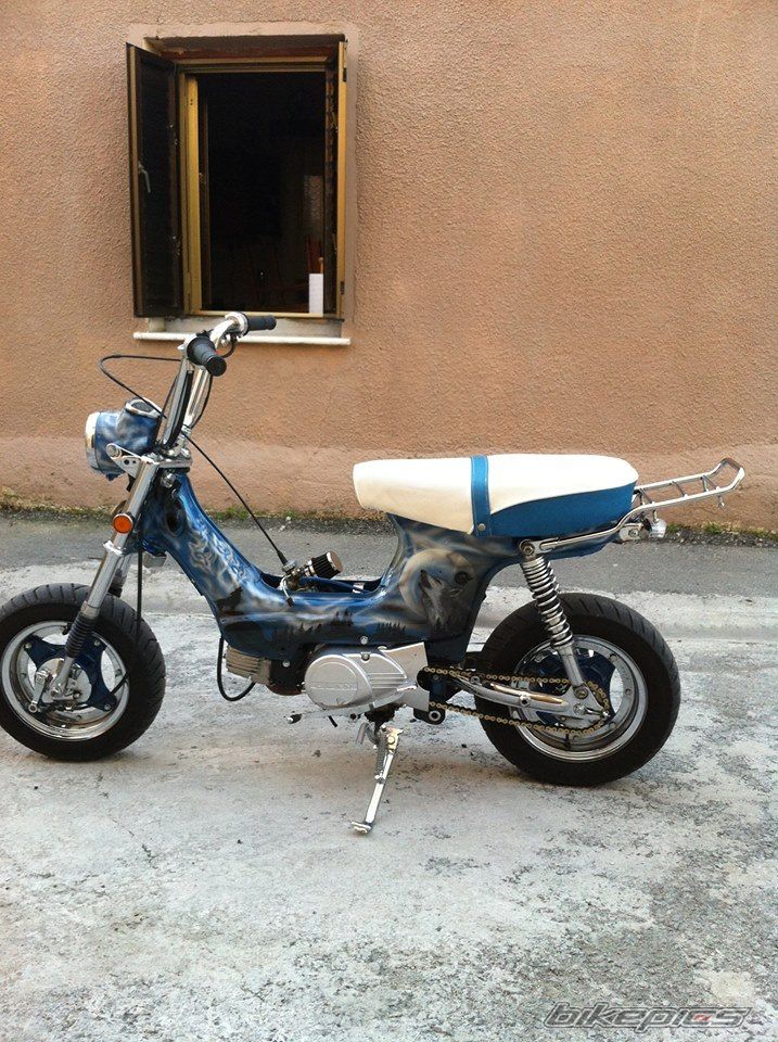 Photo 2633403