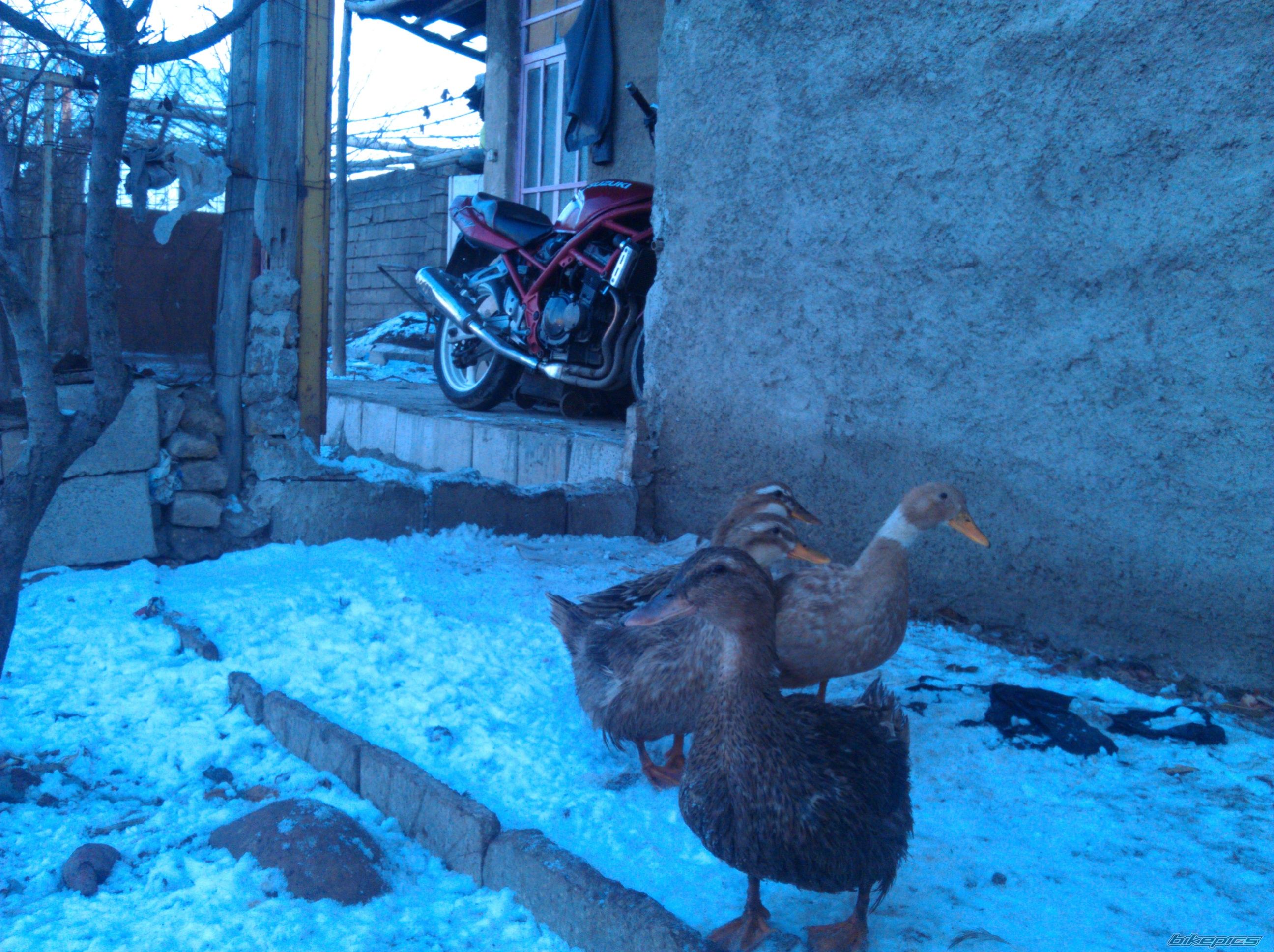 Bike Photo 2633419