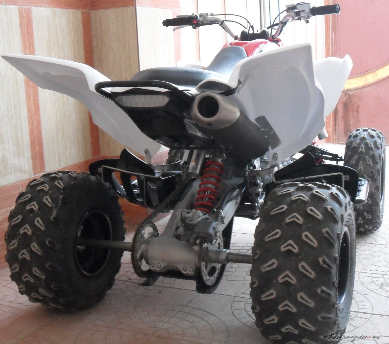 Photo 2633427
