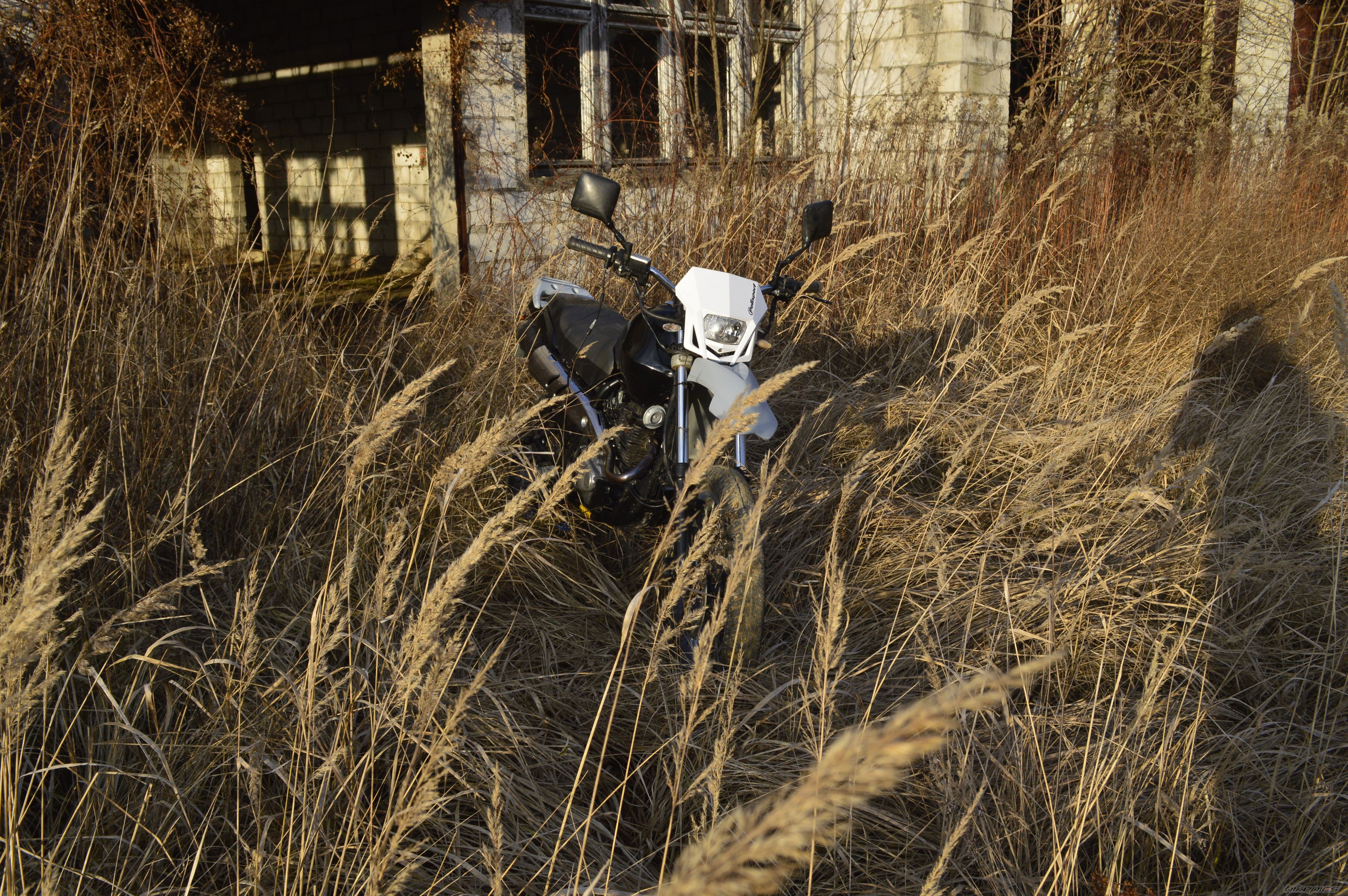 Bike Photo 2633549