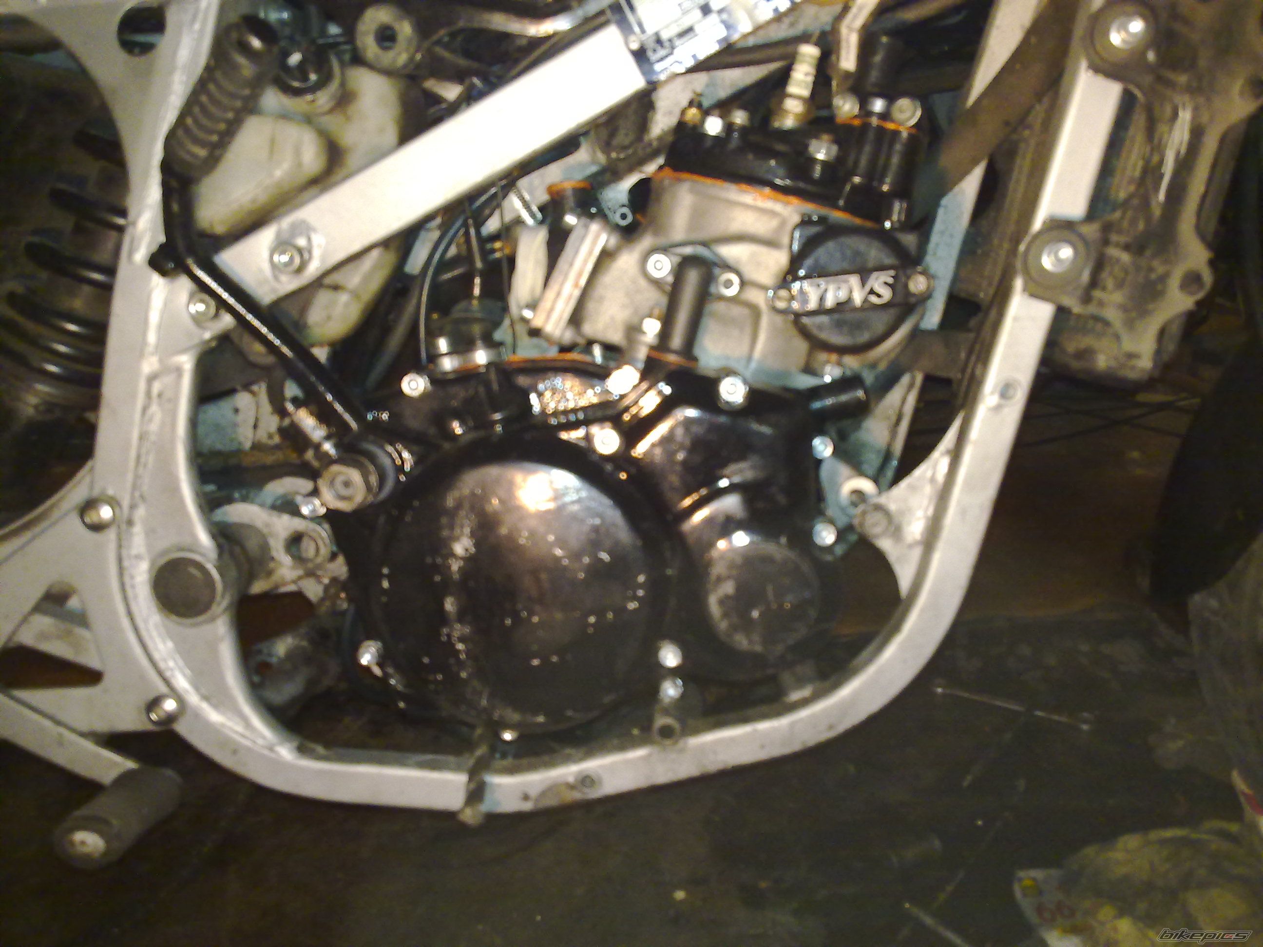 Photo 2633627