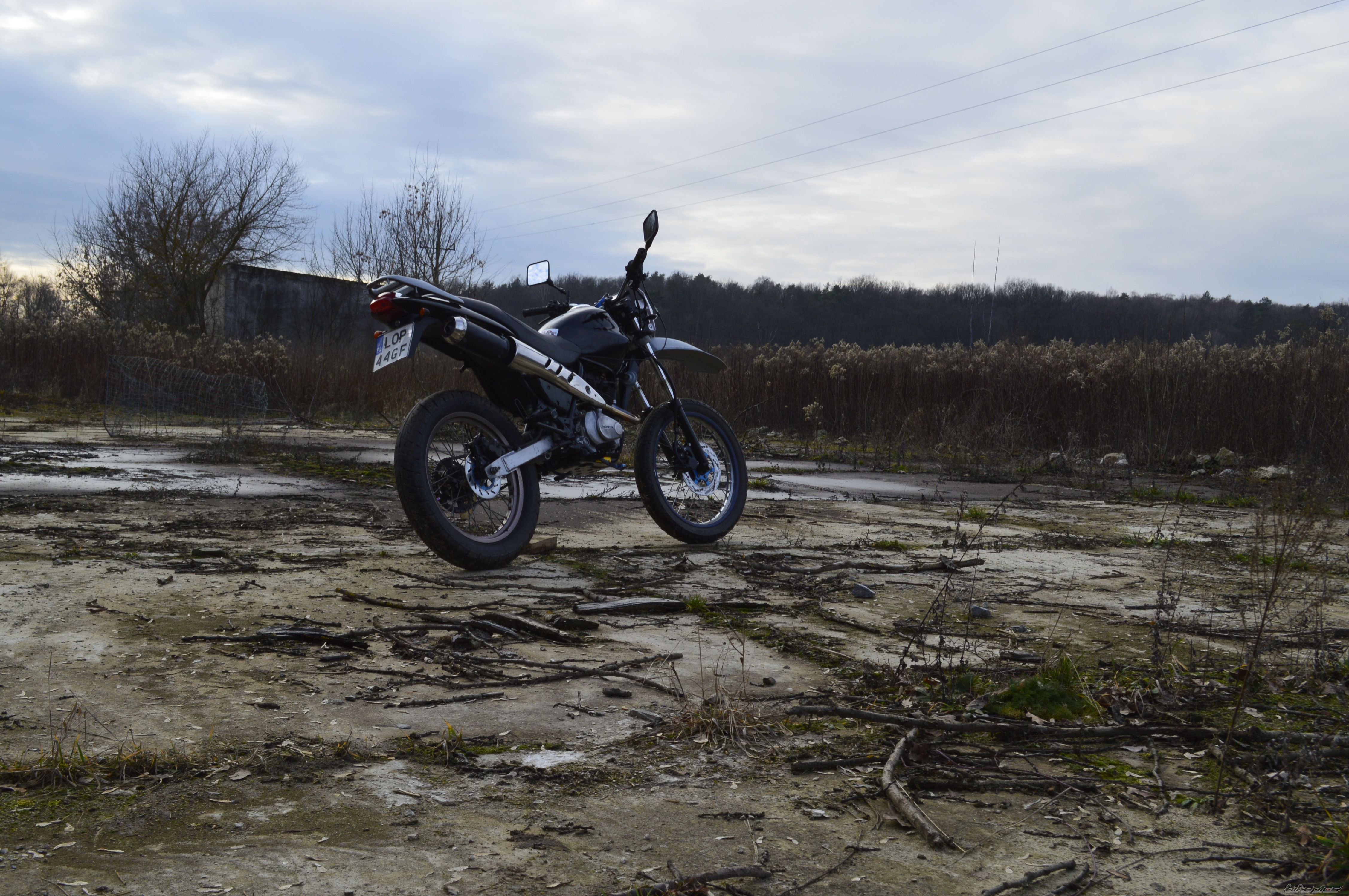 Photo 2633657