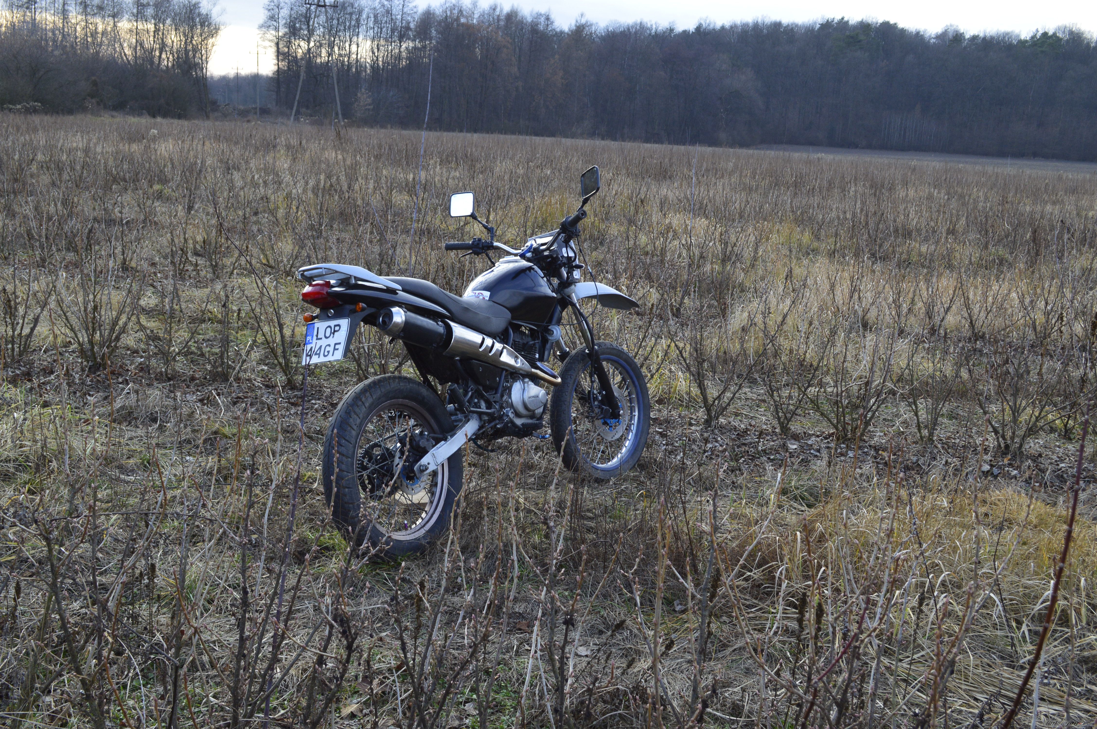 Bike Photo 2633660