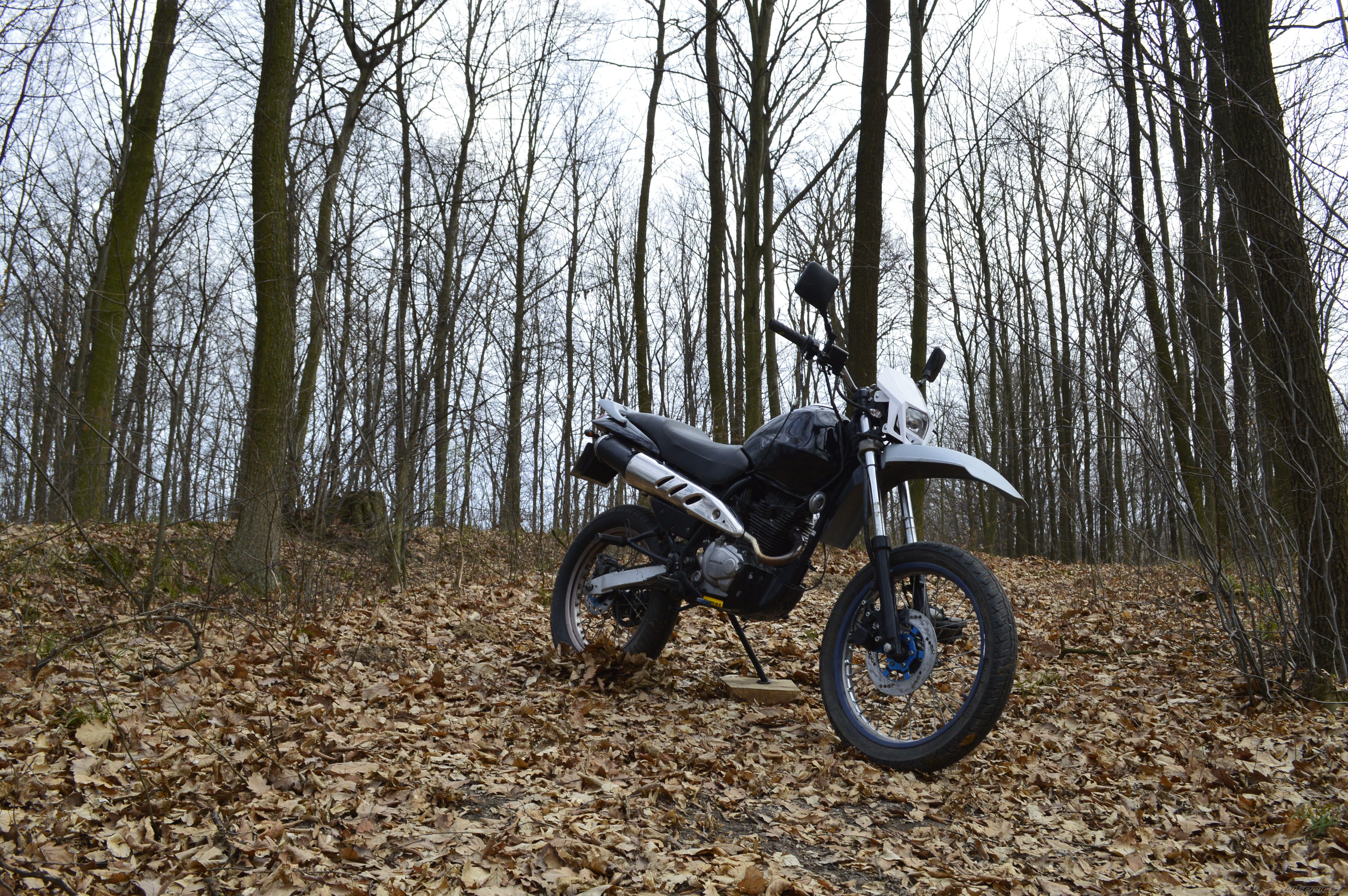 Bike Photo 2633667