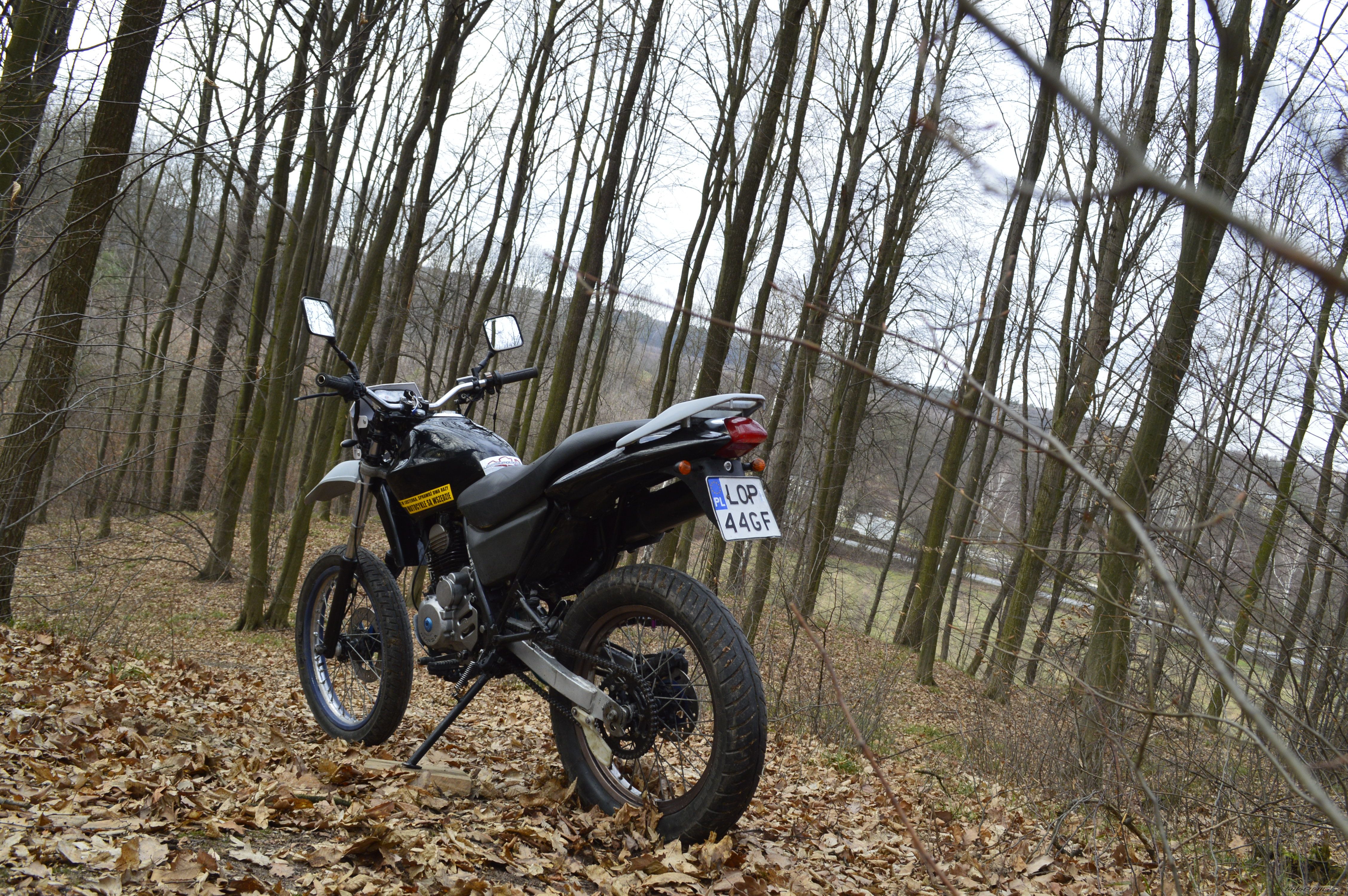 Bike Photo 2633669