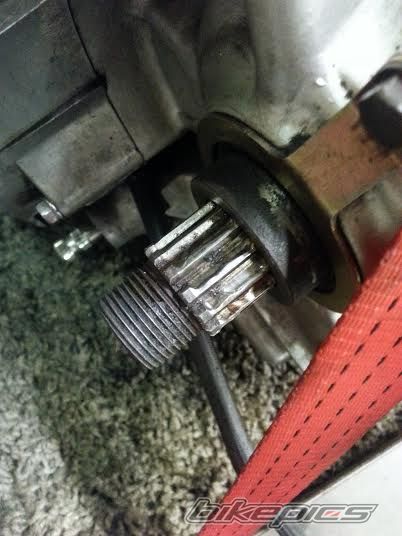Photo 2633685