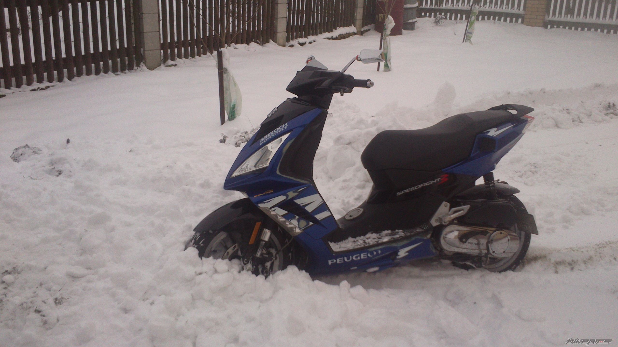 Photo 2633754