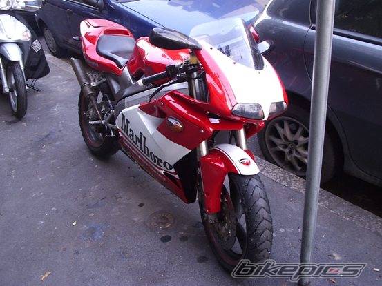 Photo 263391